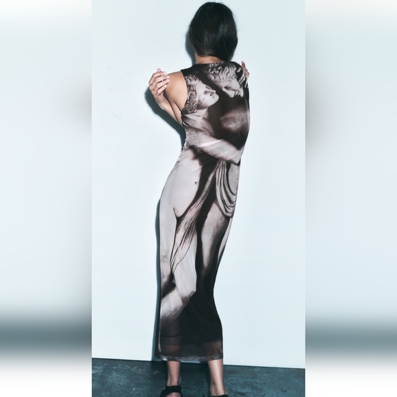ZARA PRINTED TULLE DRESS - Picture 3 of 5